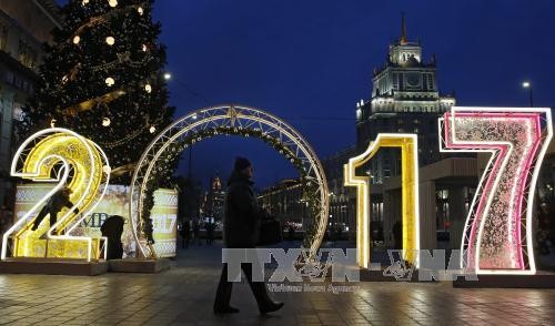 Russia arrests seven suspected of plotting New Year attacks in Moscow - ảnh 1